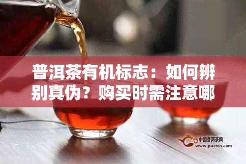 普洱茶有机标志：如何辨别真伪？购买时需注意哪些方面？