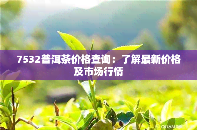 7532普洱茶价格查询：了解最新价格及市场行情