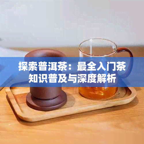 探索普洱茶：最全入门茶知识普及与深度解析