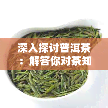 深入探讨普洱茶：解答你对茶知识的疑问，问题与答案并存