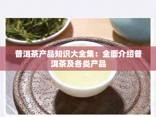 普洱茶产品知识大全集：全面介绍普洱茶及各类产品