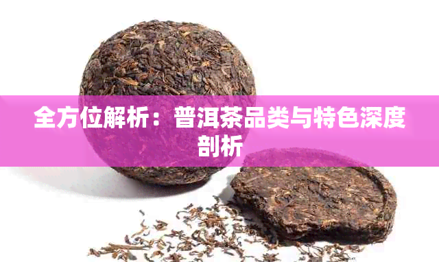 全方位解析：普洱茶品类与特色深度剖析