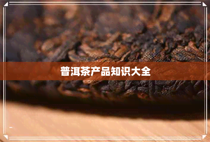 普洱茶产品知识大全