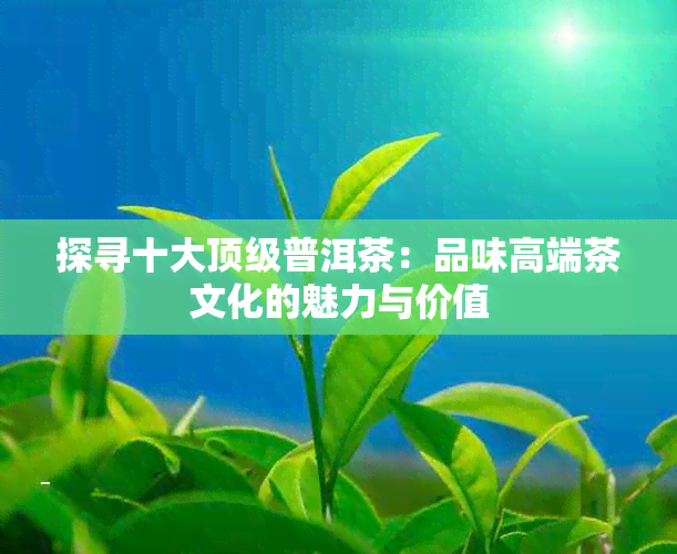 探寻十大顶级普洱茶：品味高端茶文化的魅力与价值