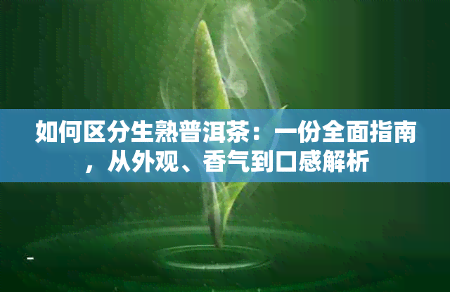 如何区分生熟普洱茶：一份全面指南，从外观、香气到口感解析