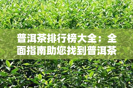 普洱茶排行榜大全：全面指南助您找到普洱茶及购买建议