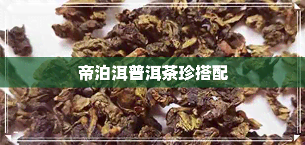 帝泊洱普洱茶珍搭配