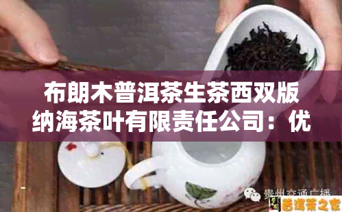 布朗木普洱茶生茶西双版纳海茶叶有限责任公司：优质茶叶供应商