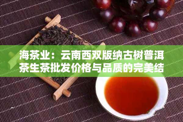 海茶业：云南西双版纳古树普洱茶生茶批发价格与品质的完美结合