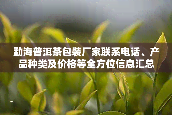 勐海普洱茶包装厂家联系电话、产品种类及价格等全方位信息汇总