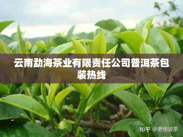 云南勐海茶业有限责任公司普洱茶包装热线