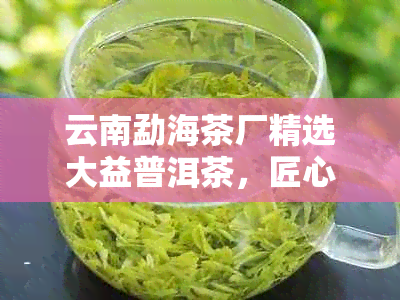 云南勐海茶厂精选大益普洱茶，匠心制作，传承古法，品鉴独特风味