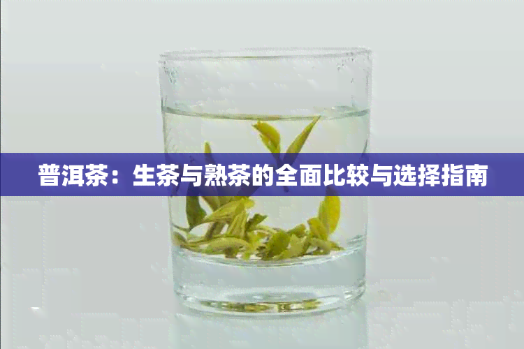 普洱茶：生茶与熟茶的全面比较与选择指南