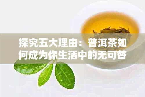 探究五大理由：普洱茶如何成为你生活中的无可替代之选