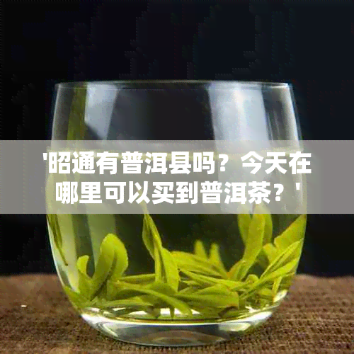 '昭通有普洱县吗？今天在哪里可以买到普洱茶？'