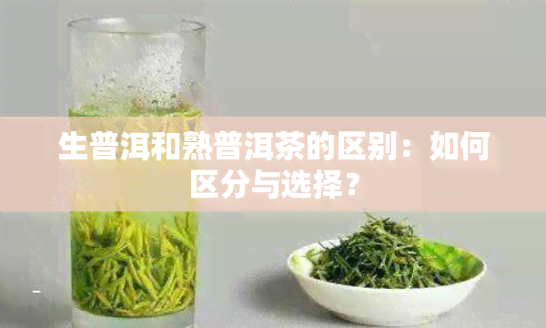 生普洱和熟普洱茶的区别：如何区分与选择？