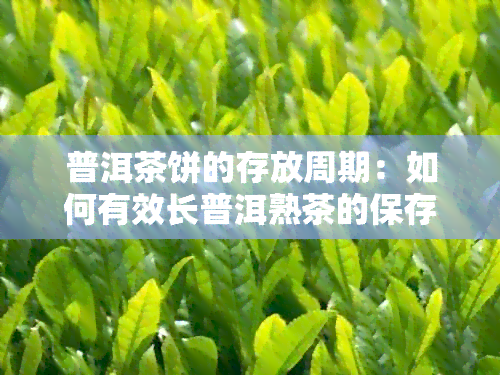 普洱茶饼的存放周期：如何有效长普洱熟茶的保存期限