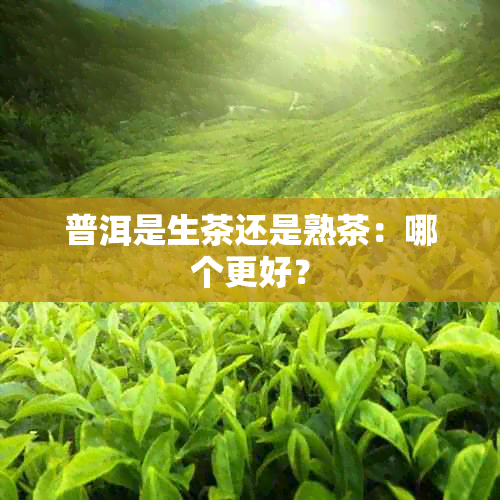 普洱是生茶还是熟茶：哪个更好？