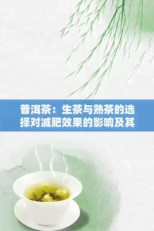 普洱茶：生茶与熟茶的选择对减肥效果的影响及其详细比较