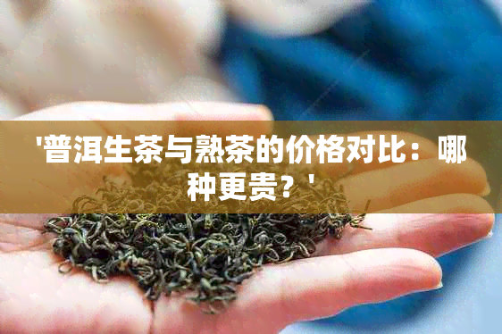 '普洱生茶与熟茶的价格对比：哪种更贵？'