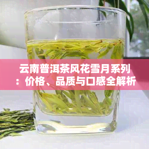 云南普洱茶风花雪月系列：价格、品质与口感全解析，助您选购茶叶