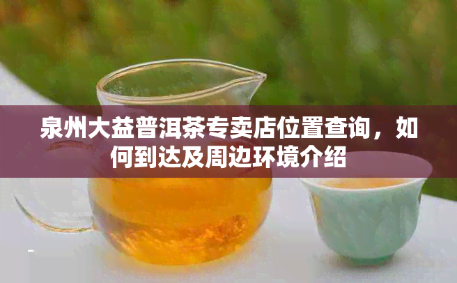 泉州大益普洱茶专卖店位置查询，如何到达及周边环境介绍