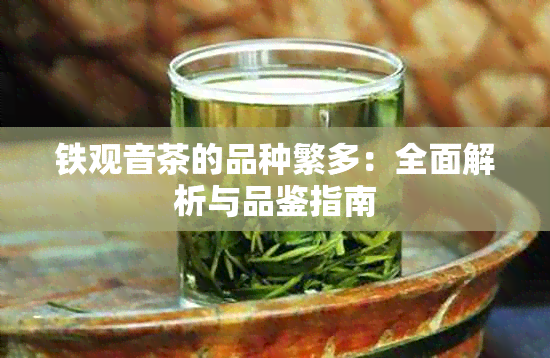 铁观音茶的品种繁多：全面解析与品鉴指南