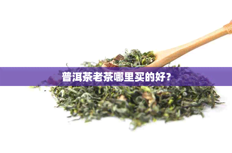 普洱茶老茶哪里买的好？