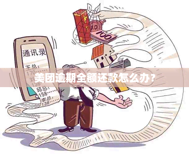 美团逾期全额还款怎么办？