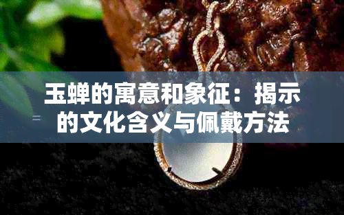 玉蝉的寓意和象征：揭示的文化含义与佩戴方法