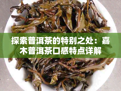 探索普洱茶的特别之处：嘉木普洱茶口感特点详解