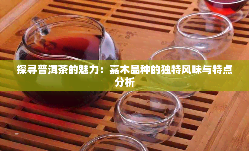 探寻普洱茶的魅力：嘉木品种的独特风味与特点分析