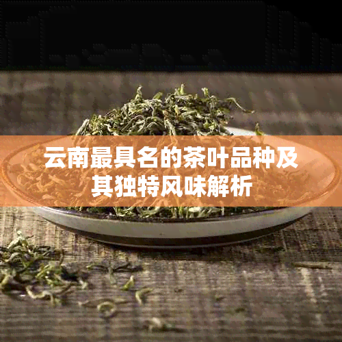 云南更具名的茶叶品种及其独特风味解析