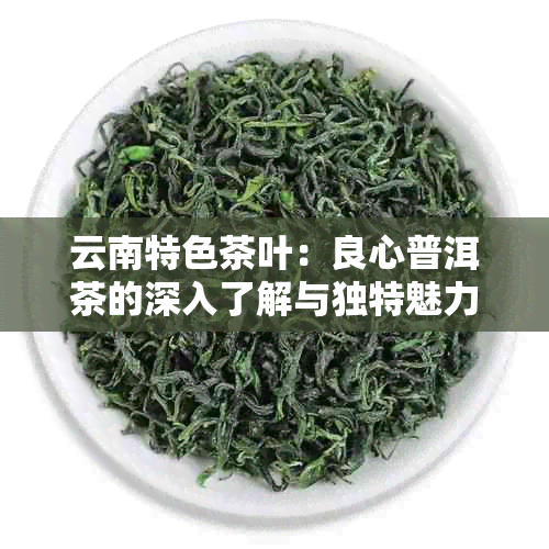 云南特色茶叶：良心普洱茶的深入了解与独特魅力