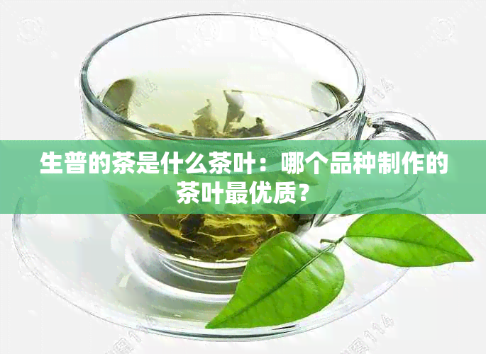 生普的茶是什么茶叶：哪个品种制作的茶叶更优质？