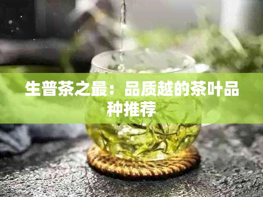 生普茶之最：品质越的茶叶品种推荐