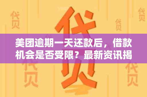 美团逾期一天还款后，借款机会是否受限？最新资讯揭秘