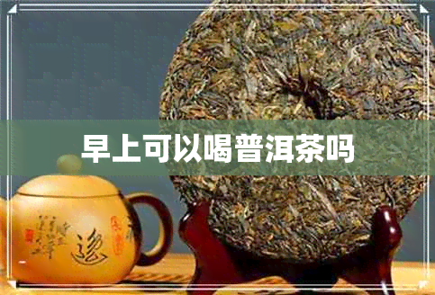 早上可以喝普洱茶吗