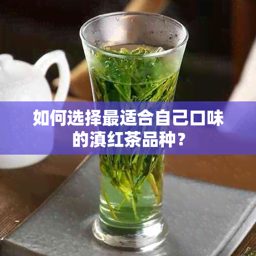 如何选择最适合自己口味的滇红茶品种？