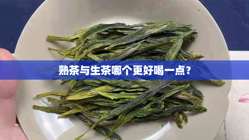 熟茶与生茶哪个更好喝一点？