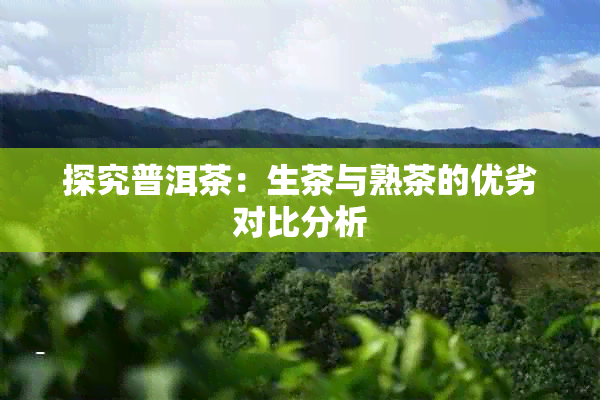 探究普洱茶：生茶与熟茶的优劣对比分析