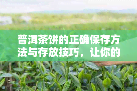 普洱茶饼的正确保存方法与存放技巧，让你的茶叶长久保