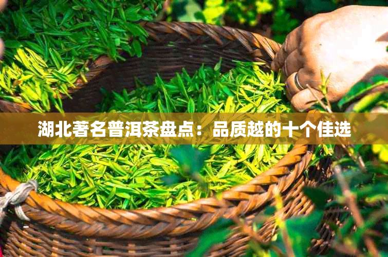 湖北著名普洱茶盘点：品质越的十个佳选