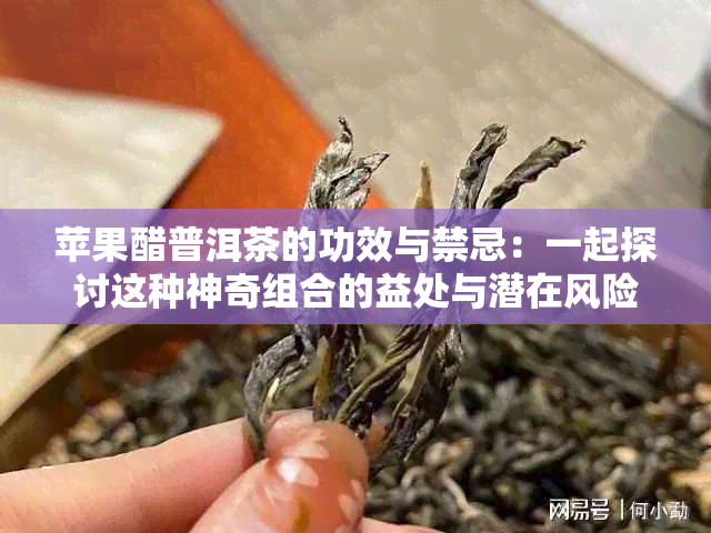 苹果醋普洱茶的功效与禁忌：一起探讨这种神奇组合的益处与潜在风险