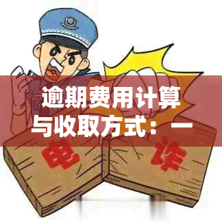 逾期费用计算与收取方式：一天100元是否合理？解答用户疑虑