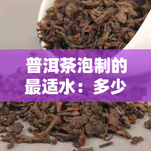 普洱茶泡制的最适水：多少度最适合？探讨各种因素对口感的影响