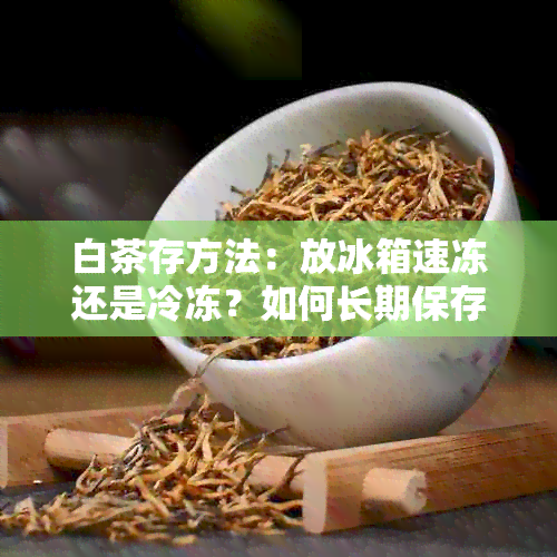 白茶存方法：放冰箱速冻还是冷冻？如何长期保存？