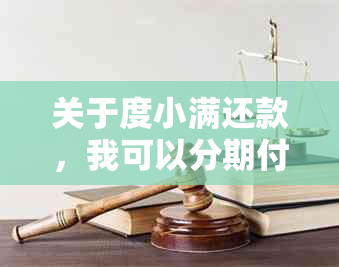 关于度小满还款，我可以分期付款吗？我需要了解的所有信息都在这儿！