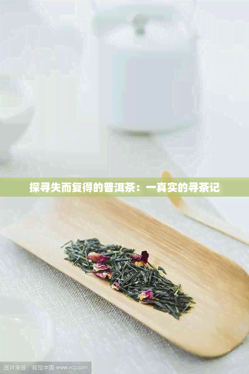 探寻失而复得的普洱茶：一真实的寻茶记