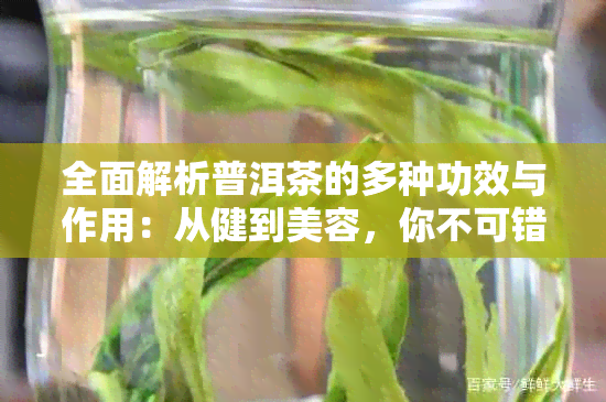 全面解析普洱茶的多种功效与作用：从健到美容，你不可错过的文章！